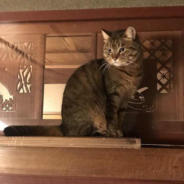 ちか